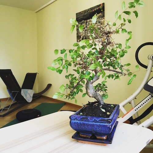 Image de la salle d'ostéopathie au centre ChiroSphere à Neuchâtel