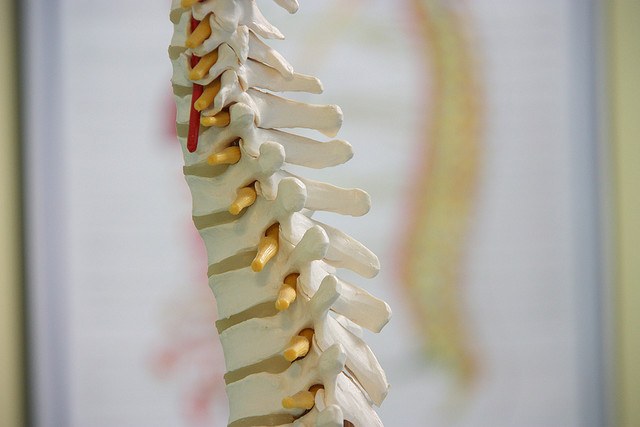 La Chiropratique au centre ChiroSphere à Neuchâtel