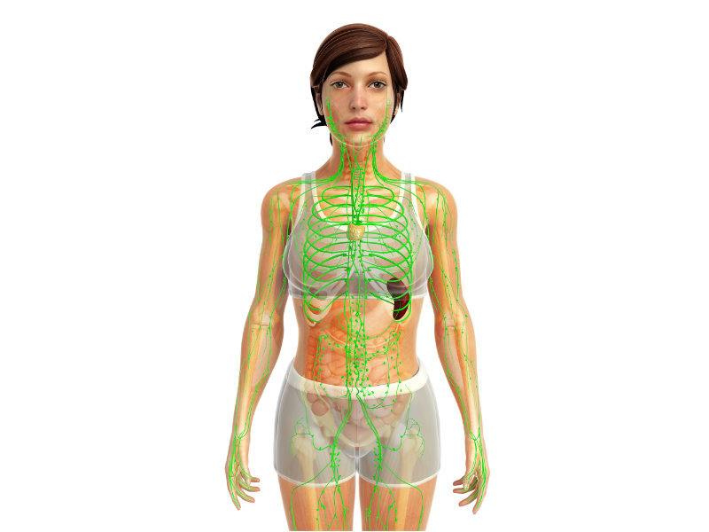 system-lymphatiq-600x800 drainage lymphatique